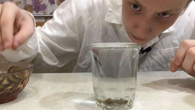ЭКСПЕРИМЕНТ. МОЖНО ЛИ НАЛИТЬ ВОДУ В СТАКАН С ГОРКОЙ? Стакан с монетами смотреть онлайн