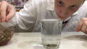 ЭКСПЕРИМЕНТ. МОЖНО ЛИ НАЛИТЬ  ВОДУ В СТАКАН С ГОРКОЙ? Стакан с монетами