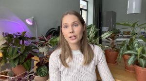 Обзор коллекции Аглаонем. Уход. Причины проблем при выращивании.