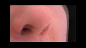 ШУМНЫЕ И УГРОЖАЮЩИЕ ВЫХОДКИ - НА СЕВЕР (КАК Я ДОБРАЛСЯ ДО БЕЛОГО МОРЯ)