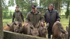 Рабочая поездка в Троицко-Печорский район