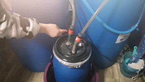 Карпы Кои зимуют на Урале.