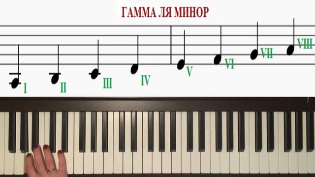 Фортепиано для начинающих | ТОНАЛЬНОСТЬ ЛЯ МИНОР | КАК ИГРАТЬ УПРАЖНЕНИЯ | Урок 20