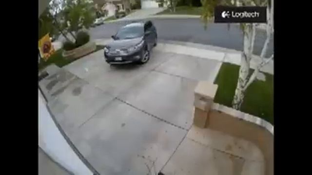 Подборка Дурачков 2 смотреть онлайн