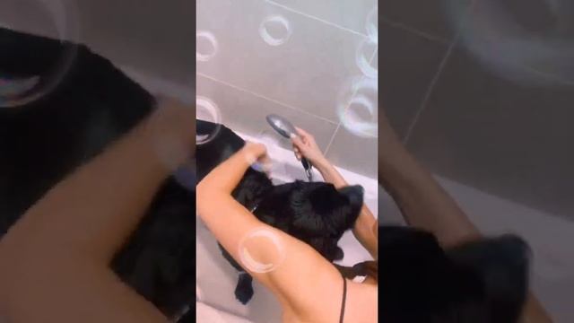 Деревенская москвичка??? смотреть онлайн