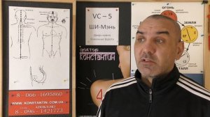 Точка Прародительской ЦИ.