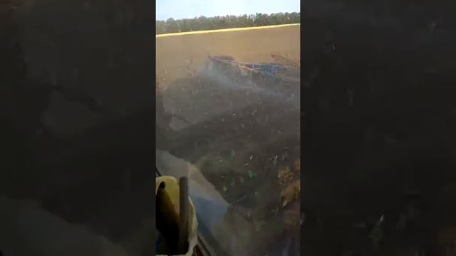 Обработка подсолнечника от земляной совки. Обробка соняшника від совки земляної. смотреть онлайн