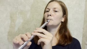 Обзор металлического вистла high D мастерской Dante music