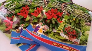 Набор комнатных овощей Новогодний урожай. Небольшой сувенир для подарка в Новый год и Рождество.