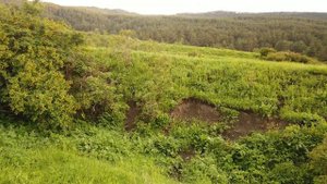 Прогулка по альпийским лугам, село Хуштада, Цумадинский район. часть 3.