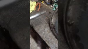 редуктор от мотоцикла урал переделка для минитрактора