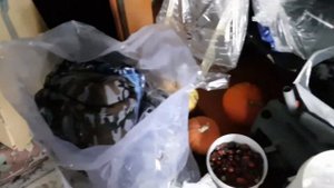 Поиграем на пианино "Тверца"