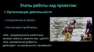 "АУКЦИОН ДОБРЫХ ДЕЛ 2020 г."