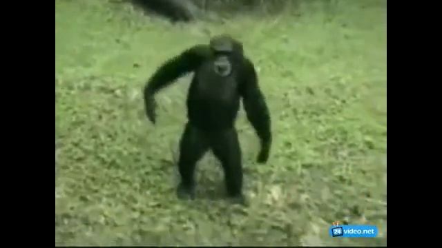 podari mne platok смотреть онлайн