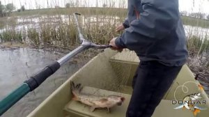 Оснастка "поставуха" на сазана. Рыбалка на сазана в Астрахани