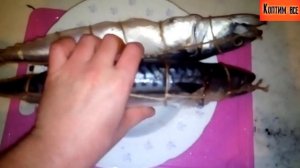 ?Как коптить скумбрию? чтобы не лопнула шкура?горячим способом!How nice to smoke mackerel?