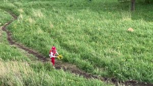 03.06.2022-гора Тугая-парк Победы-сквер Семьи