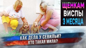 Мила - еще одна невеста ? Сильвера! Кто такая? Как дела у Севильи? Большой влог обо всем! ????