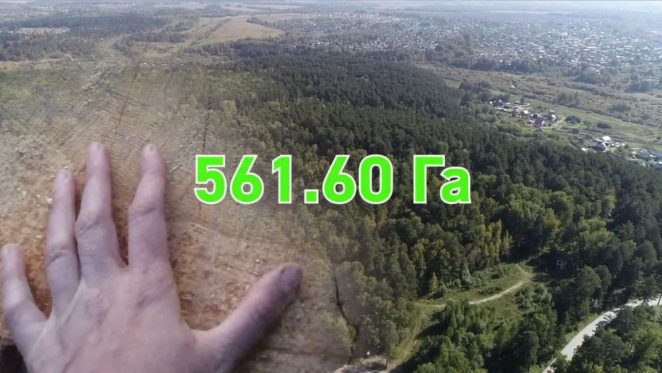 Лесопарк Академгородка