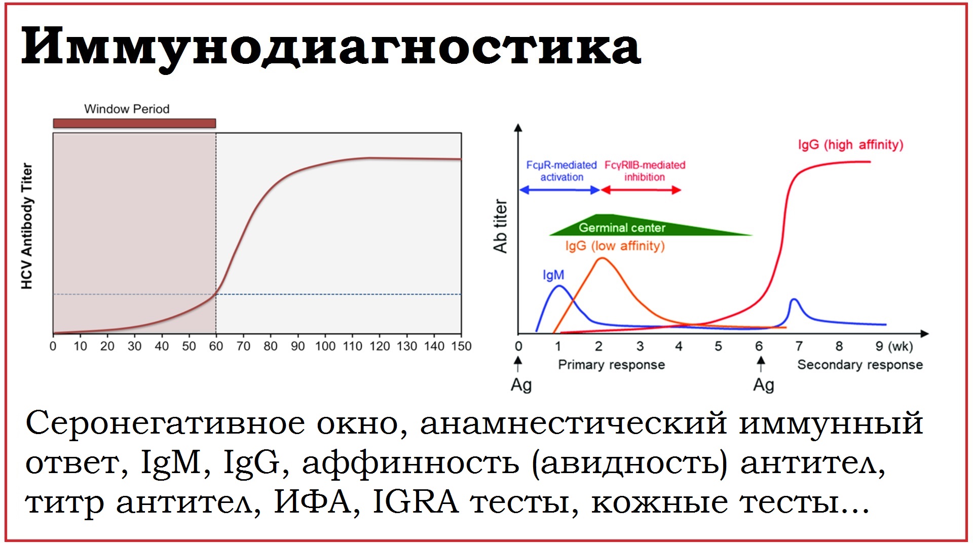 15. Иммунологические методы диагностики