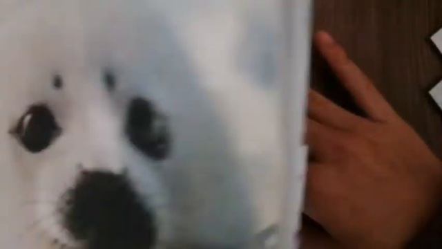 °//Распаковка бумажных сюрпризов//угадай песню, собери лук//° смотреть онлайн