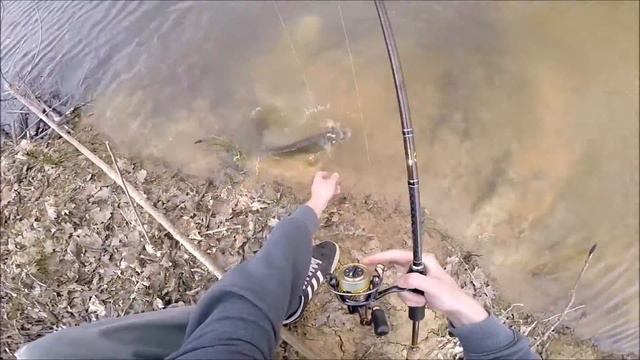 45cm LMB on Sakura Bellamy Swimjig 5.3g (3/16 oz) смотреть онлайн