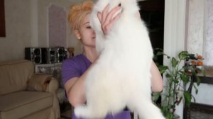 крашу ВОЛОСЫ (не опять, ну вы поняли) в солнце