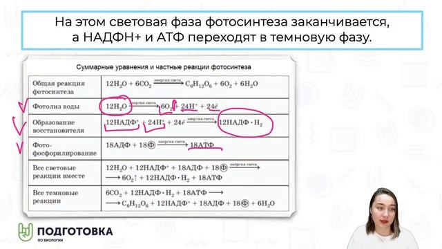 ФОТОСИНТЕЗ. Кратко, вкусно, о главном. смотреть онлайн