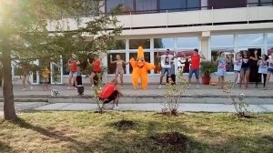 Танец морской звезды