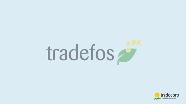 Новое видео Гаммы Трэйдфос: источник энергии, Фосфора и Калия в растениях смотреть онлайн