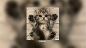 24kGoldn - Mood (speed up)