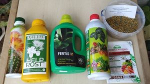 Удобрения для комнатных растений. Как и чем я подкармливаю свои растения. Подкормки с каждым поливо