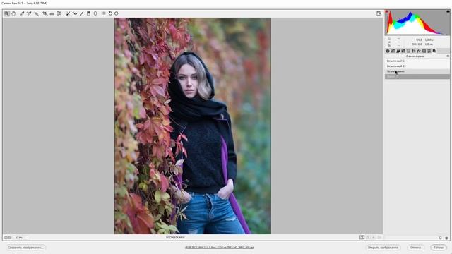 Варианты обработки в Camera Raw. (Евгений Карташов, Фото-Монстр) смотреть онлайн