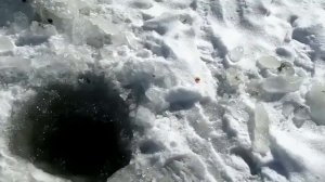 Зима? Лес. Река.