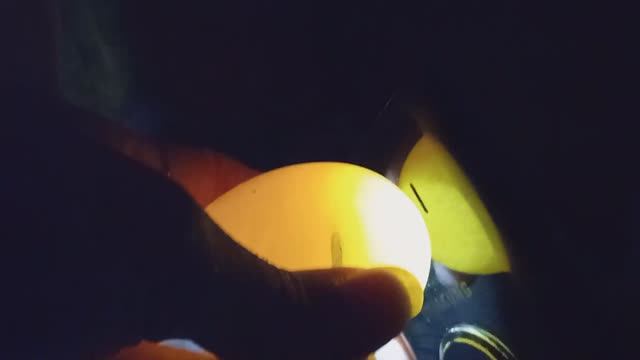 Какой оплод у яиц. Овоскопирование яиц. Отвечаю на вопросы. Мускусные утки смотреть онлайн