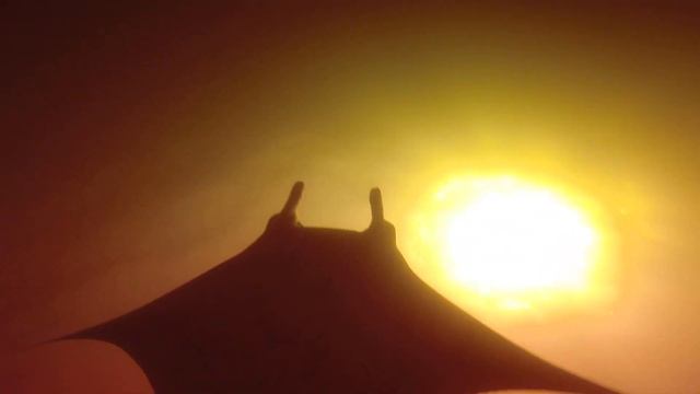 Манты (Морские дъяволы). Мальдивы. смотреть онлайн