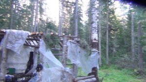 Рыбалка в тайге 2022 лето Тайга Медведь Сибирь