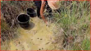 Красивые девушки ловят рыб в Камбодже - Как ловить рыб в Баттамбанге? (Часть 04)