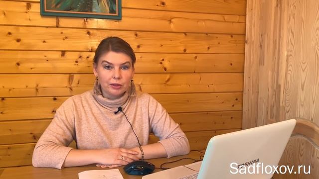 Как и где зимуют флоксы? Зимуют ли флоксы в горшках? смотреть онлайн