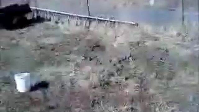 история степыгино