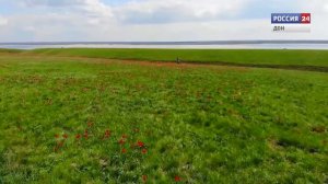 Экотуризм в Ростовской области