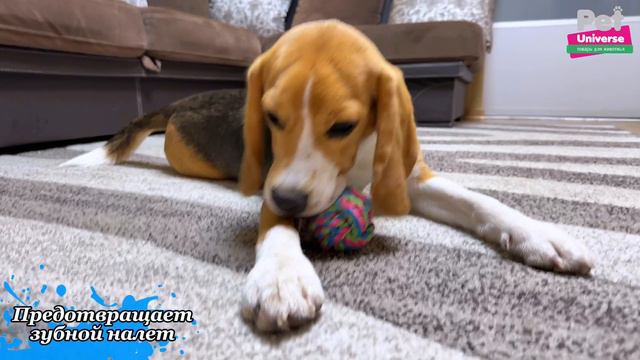 PU6006BE Игрушка для собак Pet Universe веревочный мячик 7 см смотреть онлайн