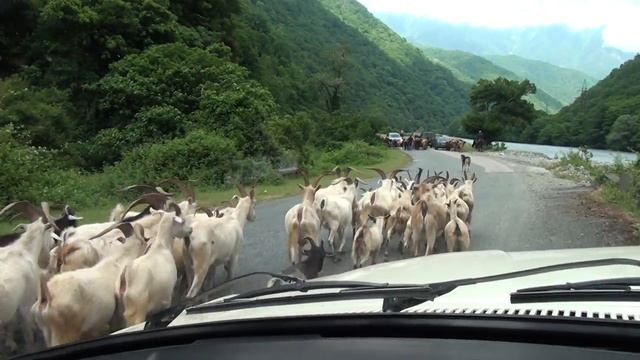 Абхазия дорога на Рицу смотреть онлайн