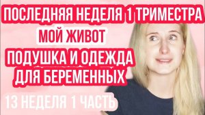 ПОДУШКА ДЛЯ БЕРЕМЕННЫХ И ОДЕЖДА С SHEIN ◈ 13 неделя беременности 1 Часть ◈ Влоги беременной Сашки