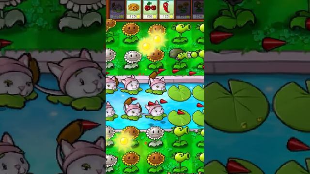 КРАТКО О КОШКАМЫШИ - PLANTS VS ZOMBIES