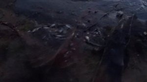 РЫБАЛКА НЕВОДОМ НОЧЬЮ | Полный невод ЛЕЩЕЙ за один замёт