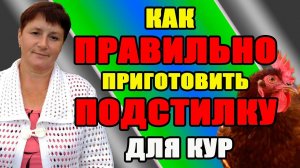Как правильно приготовить подстилку для кур. Какая подстилка лучше.