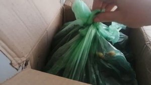 Распаковка посылки с пионами