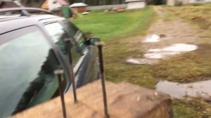 Кошу траву триммером STIHL FS 450 | Mowing grass with a STIHL FS 450 trimmer