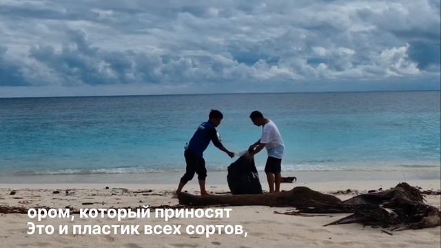 Морские черепахи острова Бламбанган.. Maratua Pedyli Penyu - проект по спасению морских черепах